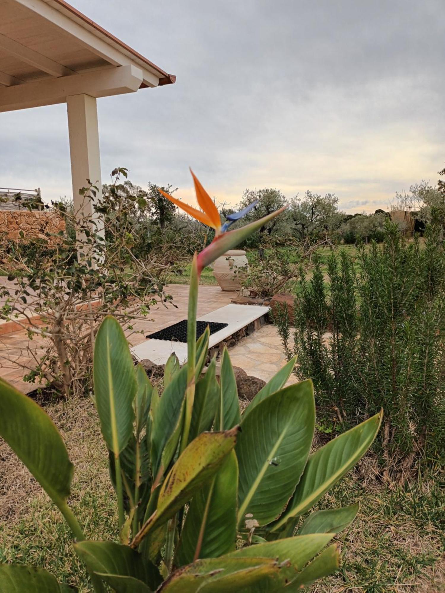 Villa Aratha Orosei Exteriér fotografie
