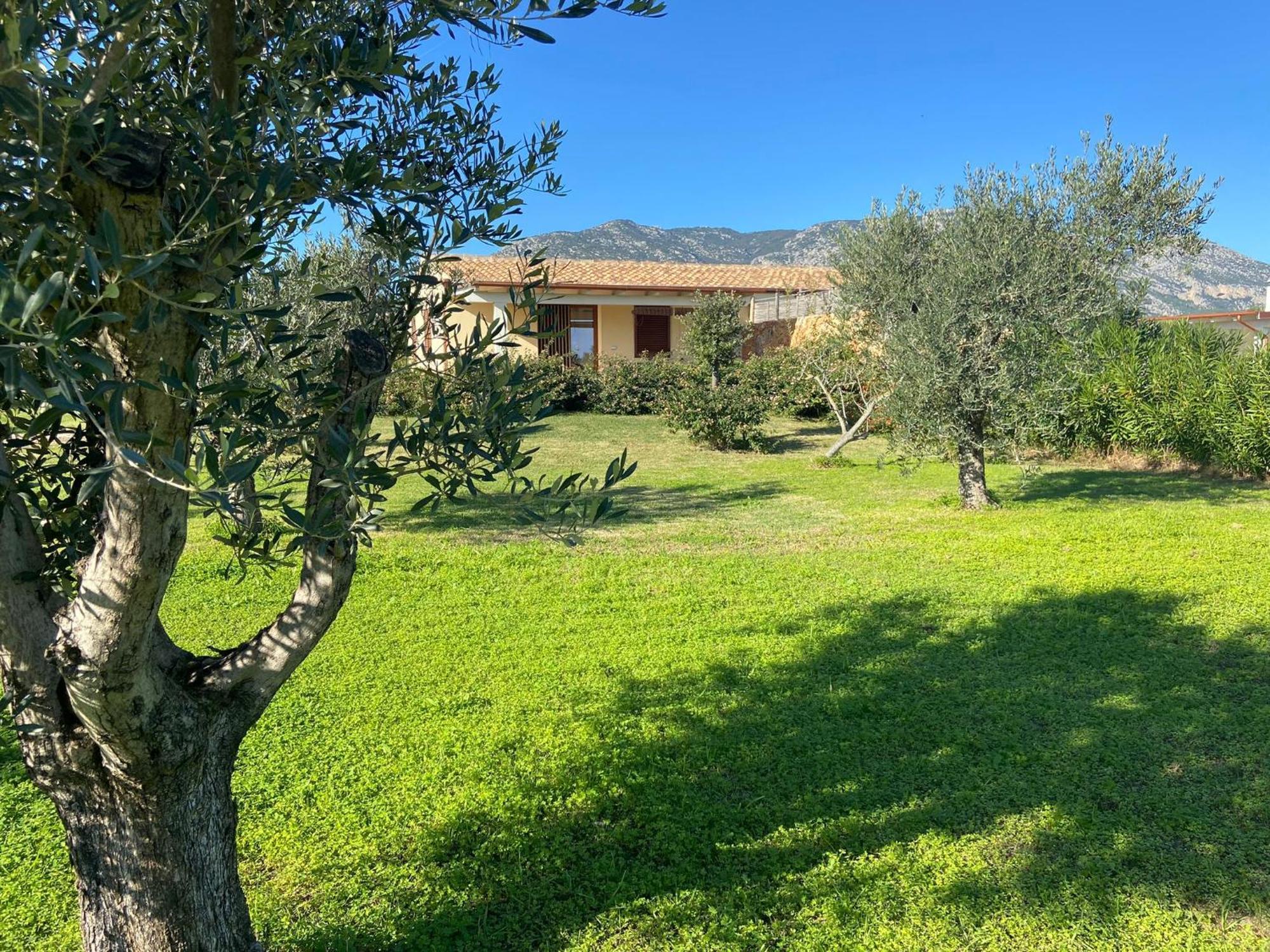 Villa Aratha Orosei Exteriér fotografie